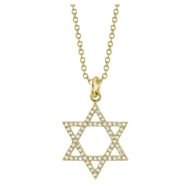 Modern Necklaces-Shy Creation Medium Star of David Necklace